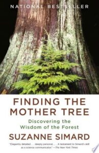 Finding the Mother Tree: Discovering the Wisdom of the Forest book cover