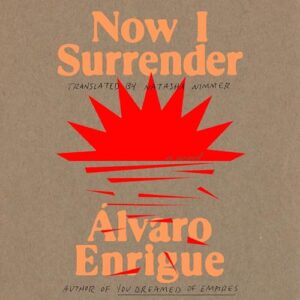 Now I Surrender: A Novel book cover