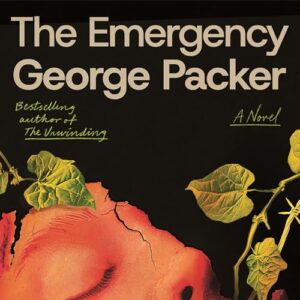 The Emergency: A Novel book cover
